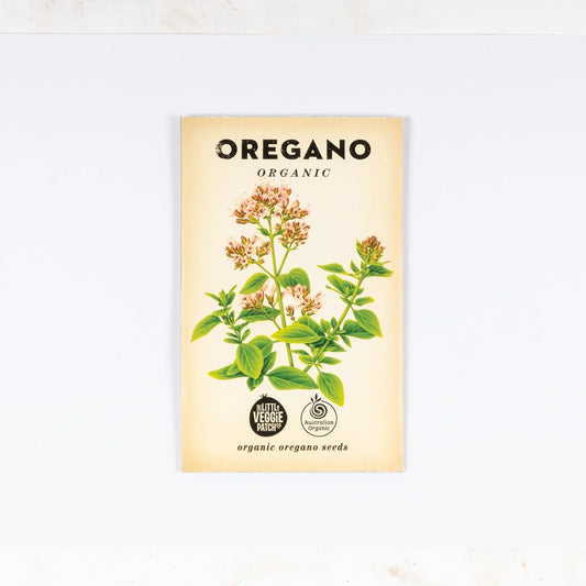 Organic Oregano 'Common' Seeds