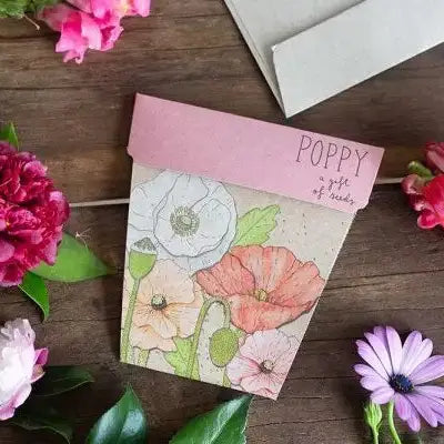 Poppy Gift