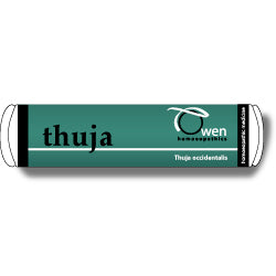 Thuja 6c