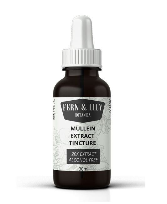 Fern & Lily Mullein Tincture [20X Extract]